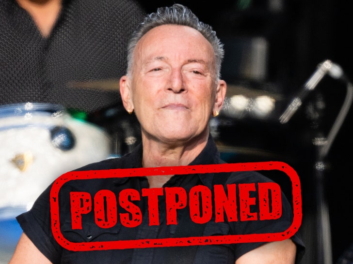 Bruce Springsteen Postpones Remaining 2023 Concerts Because of Ulcer Disease