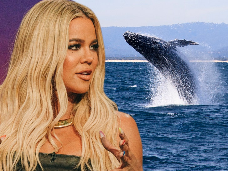 Khloe Kardashian Reveals She Has Phobia of Whales