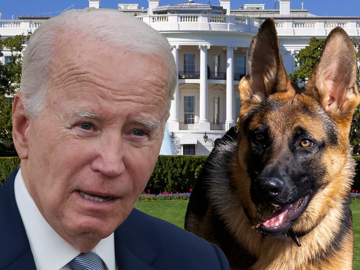 Biden’s German Shepherd Commander Removed From White House Over Biting Issues
