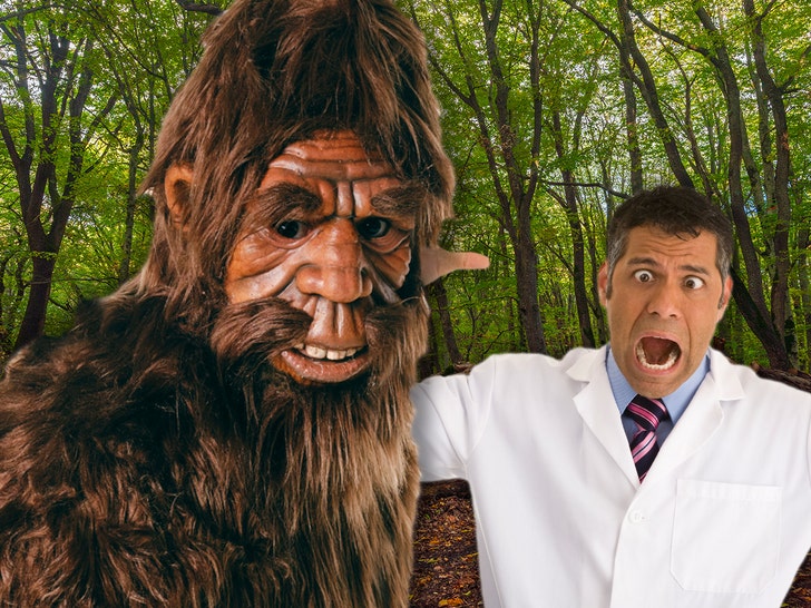 Cops Urge Bigfoot Sightings Be Investigated By Scientists, Anthropologists