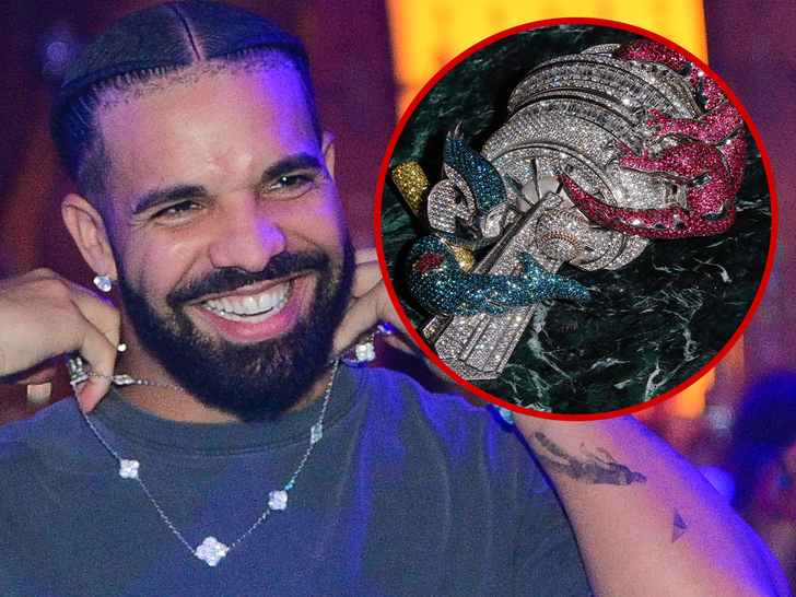 Drake’s Newest Bling Is Custom ‘Crown Jewel of Toronto’ Chain