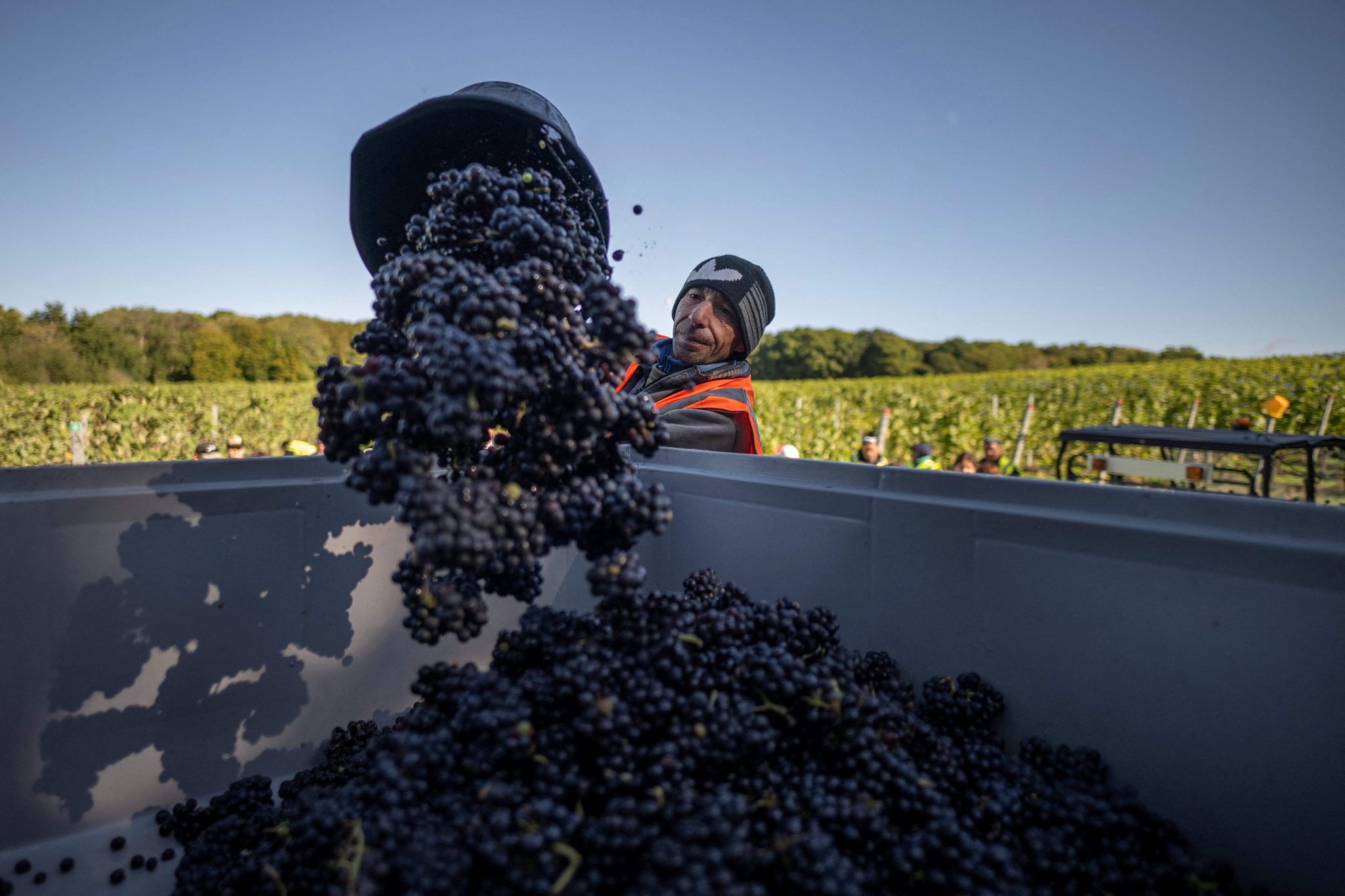 Climate change is rapidly reshaping U.K.’s wine industry