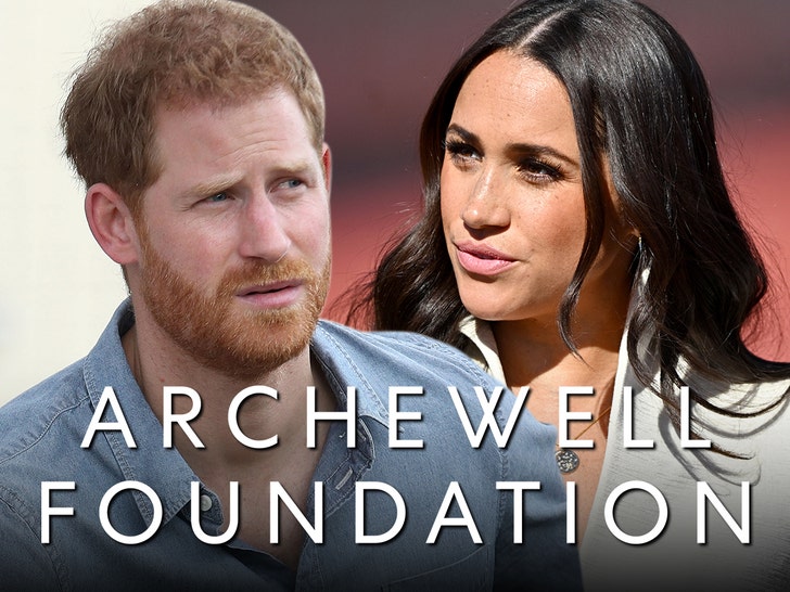 Meghan Markle, Prince Harry’s Archewell Foundation Not in Financial Trouble