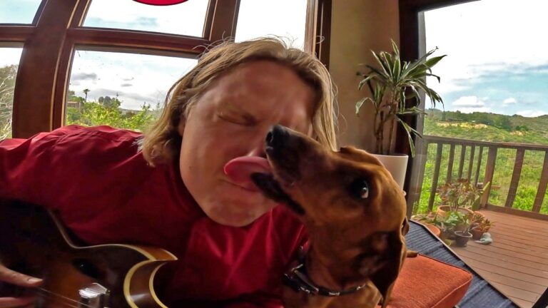 Ty Segall and His Dogs Star in New “My Best Friend” Video: Watch
