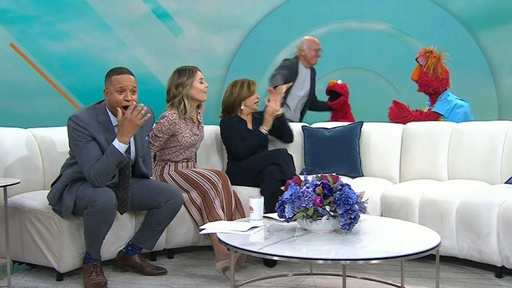 Larry David ‘Beats Up’ Elmo on ‘Today’ Show, Apologizes Right After