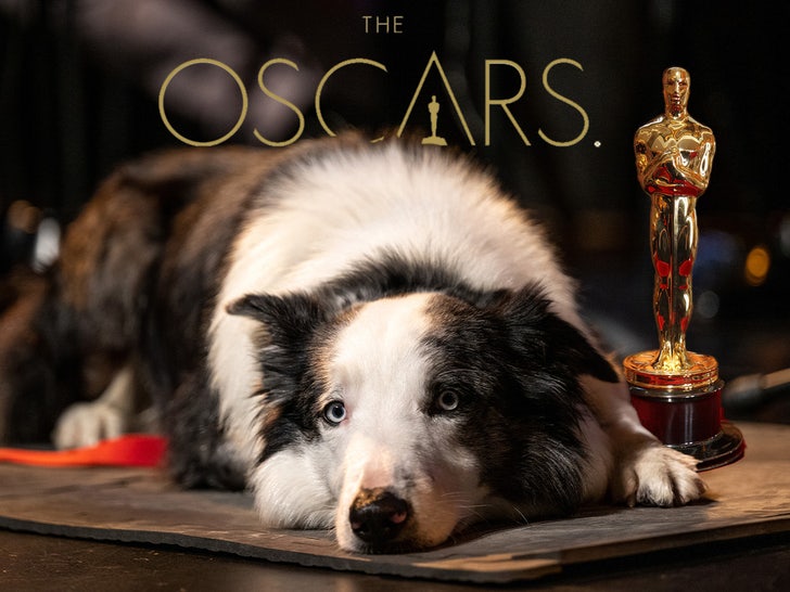 ‘Anatomy of a Fall’ Dog Cameo at Luncheon Pissed Off Oscar Contenders