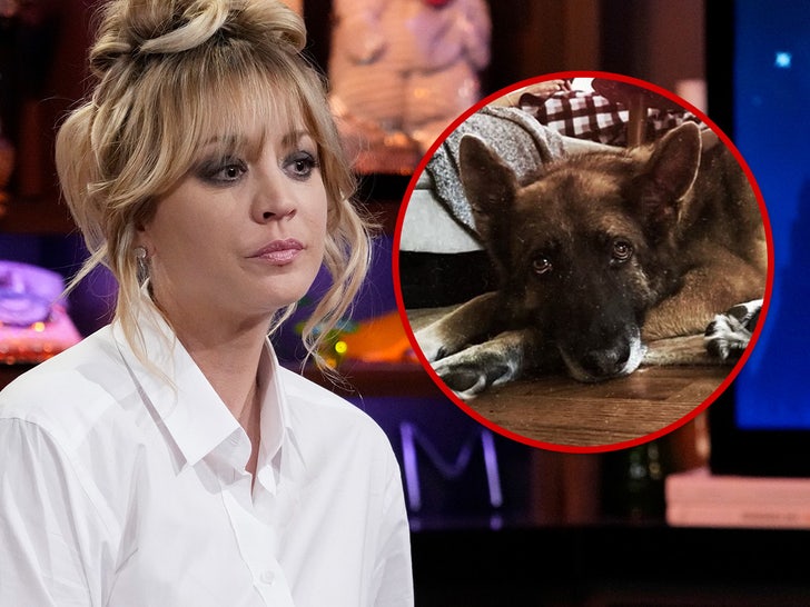 Kaley Cuoco Announces Death of Her Dog, Blue