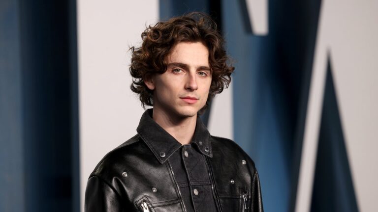 Timothée Chalamet Transforms Into Bob Dylan in First Set Photos From 'A Complete Unknown' Biopic