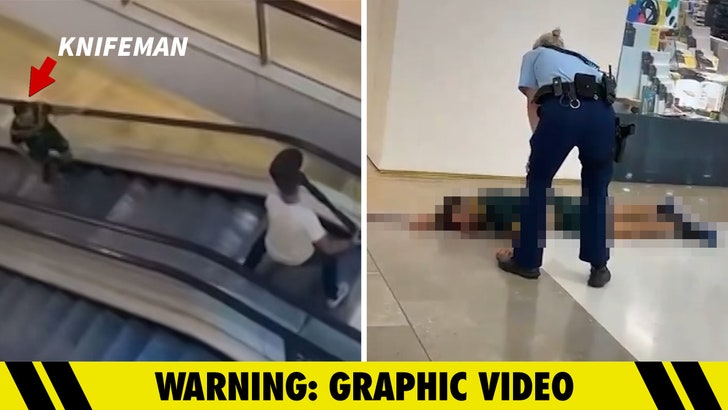 Sydney Mall Stabbing Rampage Caught On Video, 6 Murdered, Multiple Injured